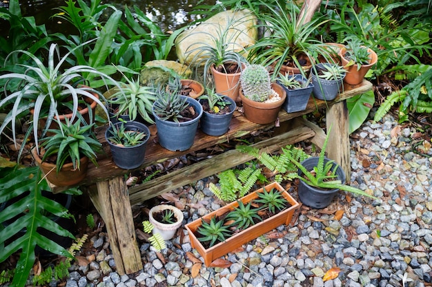 Green plant pots in the garden, stock photo