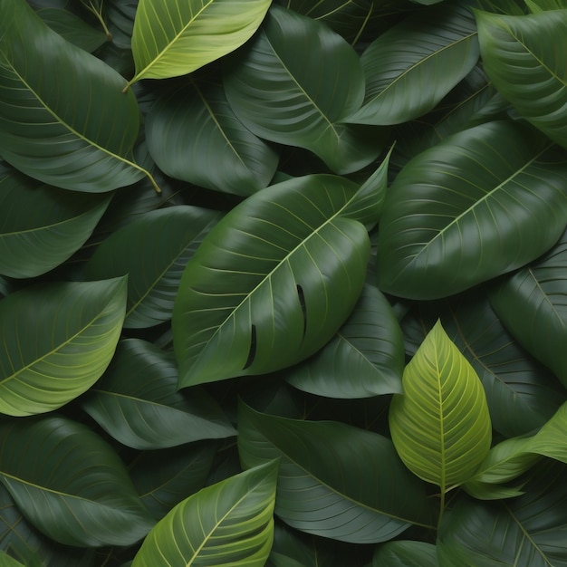 A green plant with a green leaf that says " no longer ".