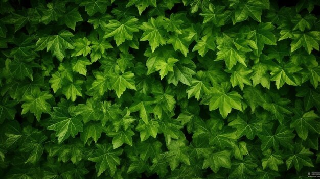 「緑」と書かれた葉を持つ緑の植物