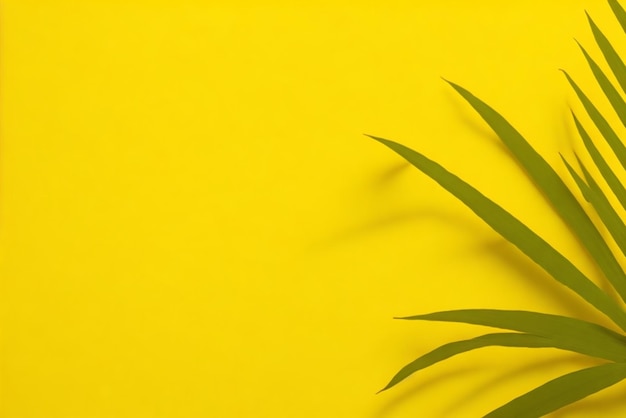 Green plant on a yellow background