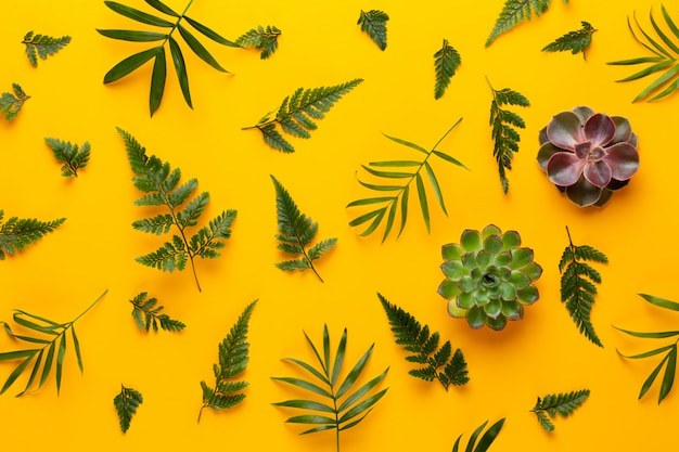 黄色の緑の植物。レトロなビンテージスタイル。