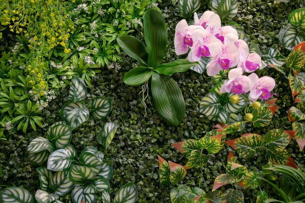 Зеленые растения украшают деревянную стену