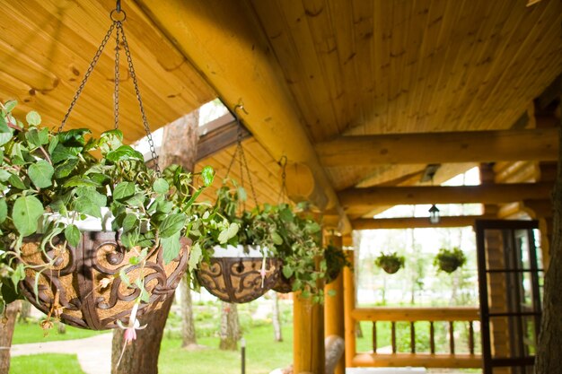 Green plants in flower pots on porch