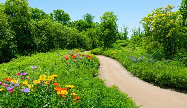 Green plants flowers trees forest paths photos generated by Ai88