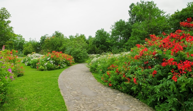 Green plants flowers trees forest paths photos generated by Ai88