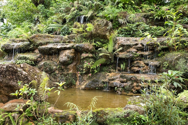 美しい滝と緑の植物庭のデザインのモデル