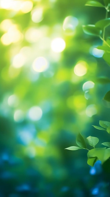 green plants with the sun shining through the leaves