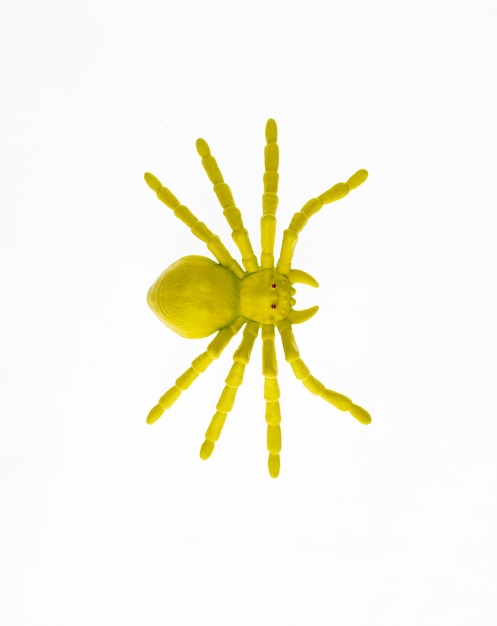 green plastic halloween spider isolated on white background