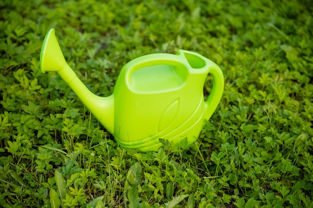 Green plastic watering can isolated on green grass. A gardener waters the plants from a watering can. Watering plants concept of farming and gardening. 