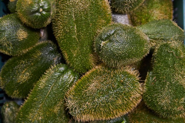 Green prickly green chayotes placed on a rack for sale within a market