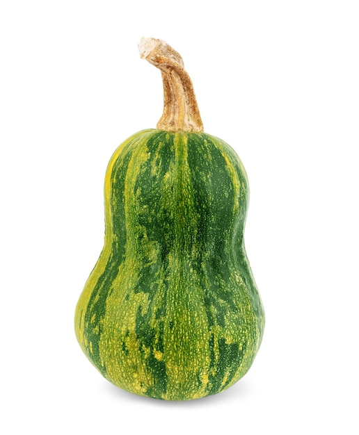 Green pumpkin isolated on white