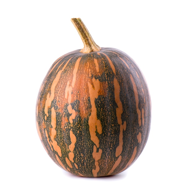 green pumpkin isolated