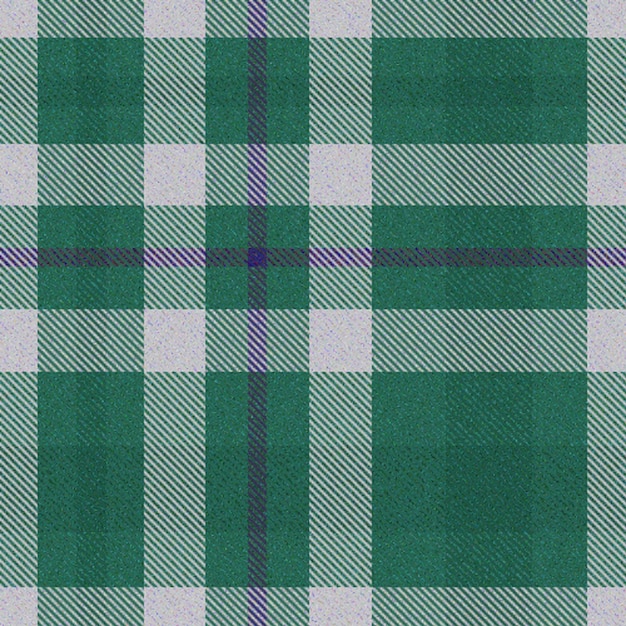 a green and purple checkered tablecloth with a purple stripe