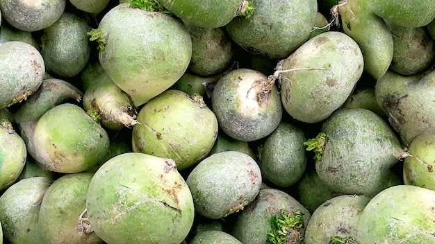 green radish texture organic green radish for sale at market bazaar fresh organic green radish on