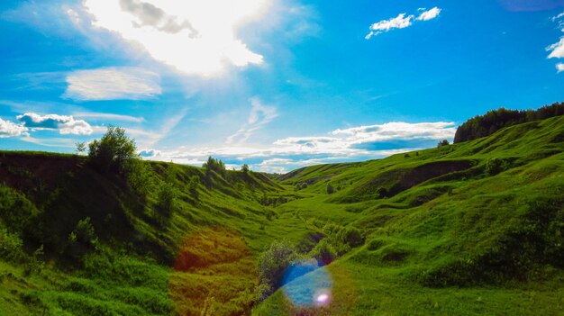 Green ravines and plains with small trees