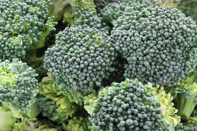 Green raw broccoli .