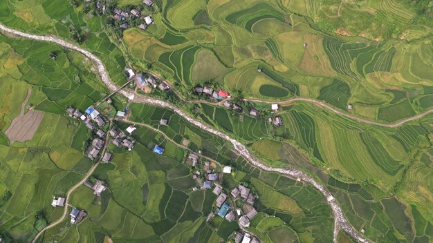 Photo green rice field in mu cang chai, viet nam