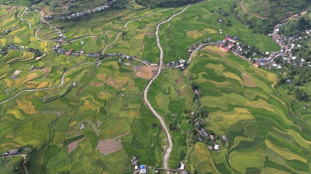 Зеленое рисовое поле в Mu Cang Chai, Вьетнам