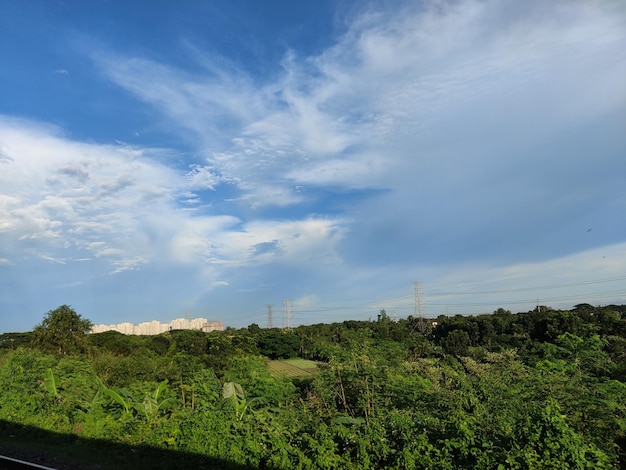 白い雲と青い空の下の緑の田んぼ。バングラデシュ農村の秋の環境