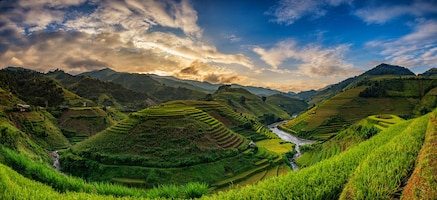 Green rice fields on terraced in mu cang chai, vietnam