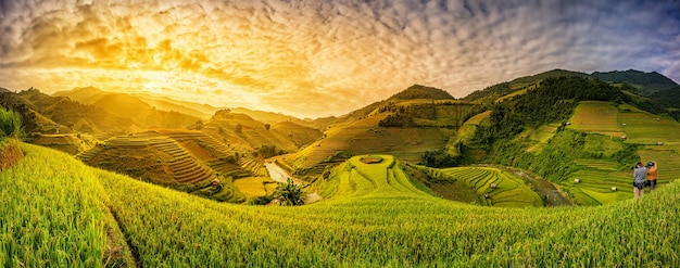 Green Rice fields on terraced in Mu cang chai, Vietnam