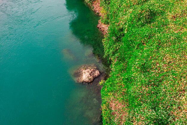 Photo green river and green shore view from above  rock in the flowing water