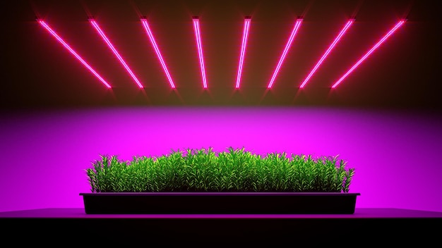 Green rosemary plant under LED grow light 3d illustration