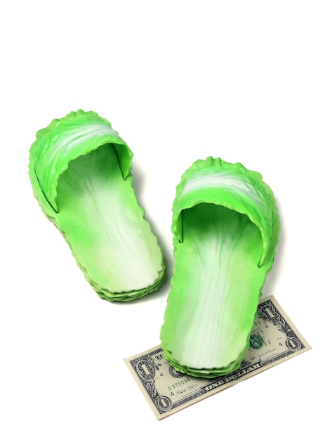 Зеленые резиновые тапочки с долларом