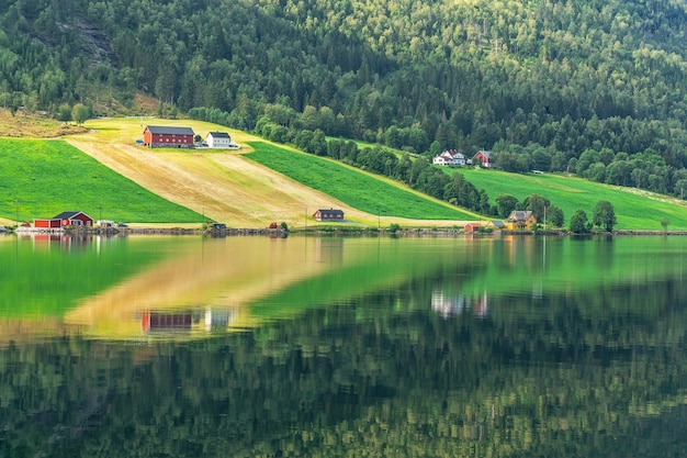 Photo green rural idyllic landscape view with reflection, countryside village houses