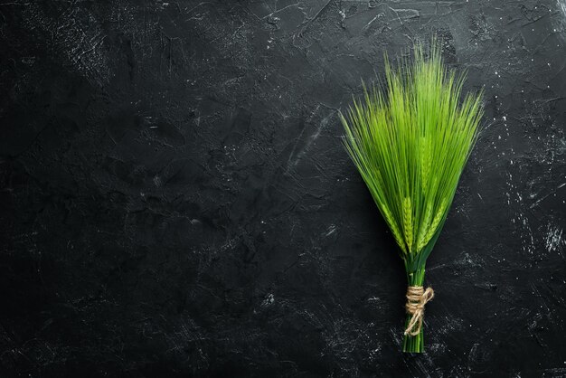 Green rye on a black stone table Top view Free space for your text