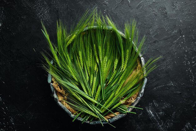 Green rye in a wooden box On a wooden background Top view Free space for your text