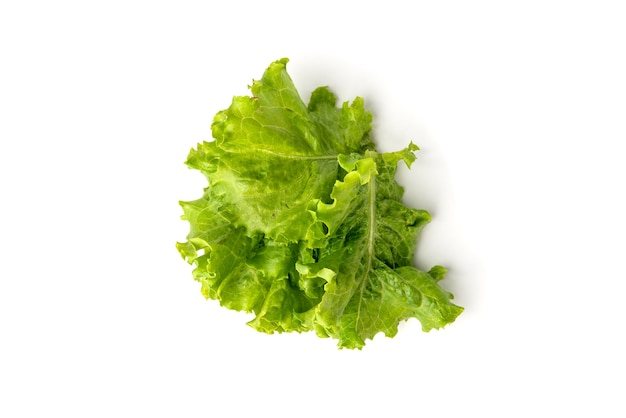 Green salad isolated on a white background