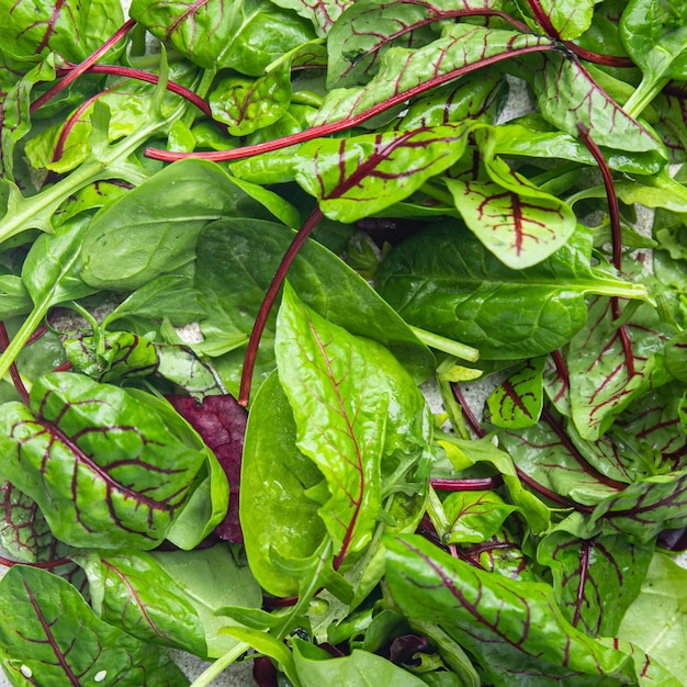 Green salad leaves mix microgreen juicy snack ready eat on the table healthy meal outdoor top view