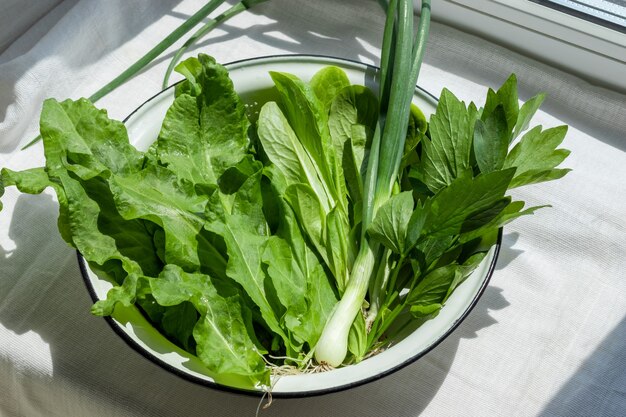 Green salad leaves, sorrel, celery, green onions in a white metal bowl