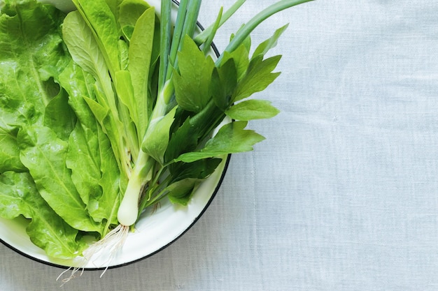 Green salad leaves, sorrel, celery, green onions in a white metal bowl