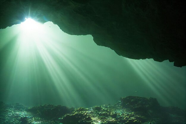 Photo green seabed underwater cave illuminated by sun