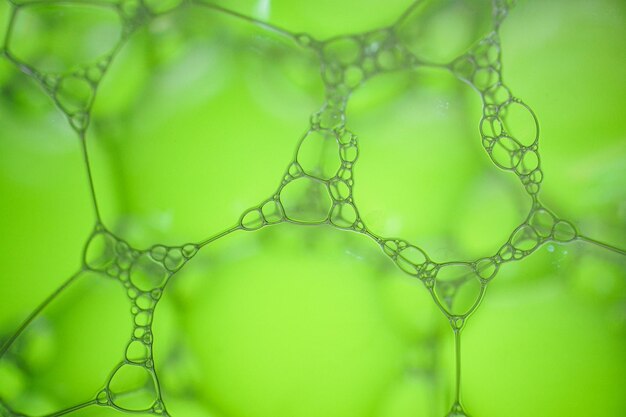 Photo green soap bubbles green abstract background