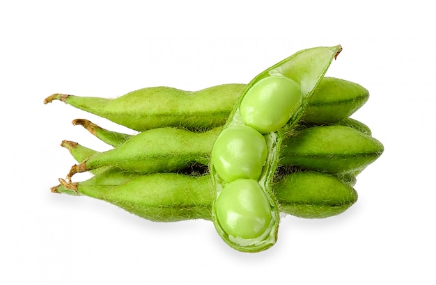 Green soy bean isolated background