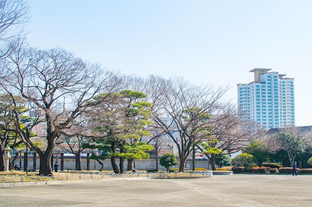 사진 그린 스페이스 루자쭈이 센트럴 상하이 중국