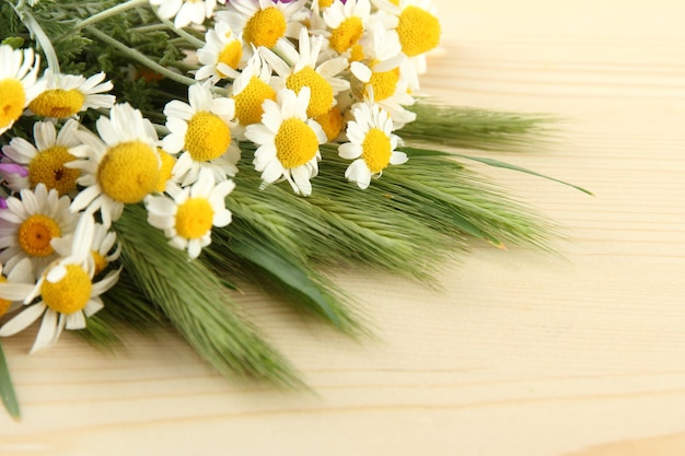 Green spikelets and wild camomiles on wooden background