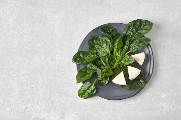 Foto foglie di spinaci verdi e cagliata di mozzarella su un piatto scuro su un tavolo di cemento chiaro