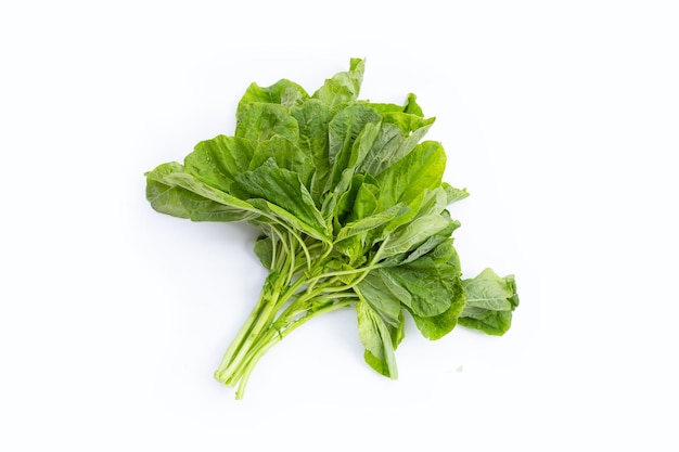 Green spinach on white background