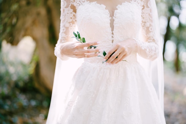Rametto verde nelle mani di una sposa in un vestito ricamato bianco primo piano Foto Premium