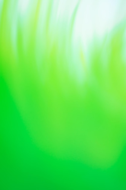 Green spring bright natural defocus blurred background with grass growing in the garden