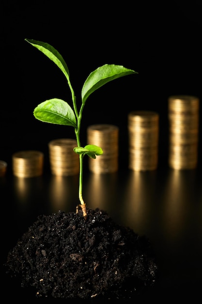 Green sprout in the ground against the background of stacks of coins