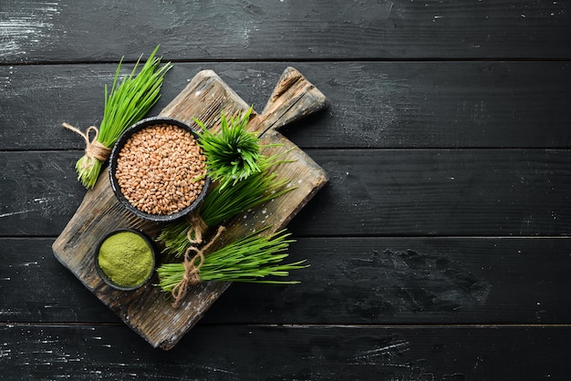緑の発芽小麦小麦粉と小麦粒マイクログリーン健康食品上面図テキスト用の空きスペース