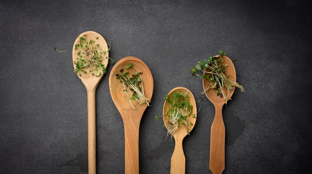 Green sprouts of chia, arugula and mustard in a wooden spoon on a black background, top view