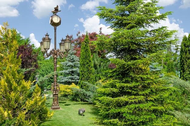 A green square in the park with an old clock.