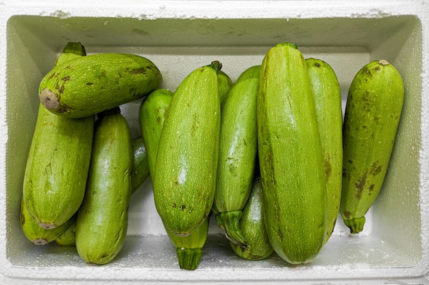 Zucca verde. varietà di zucca fresca coltivata nel negozio.