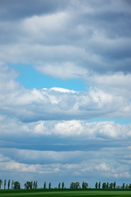 Green strip as a skyline on a background of cloudy blue sky with copy space. Ecological environment concept.